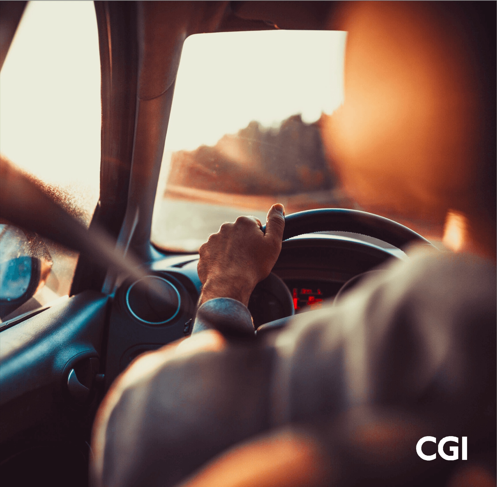 Personne conduisant une voiture