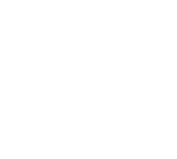 Avec ou sans contrôle technique icône blanc